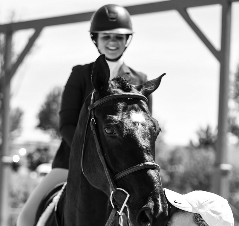 Horse Boarding and Facilities